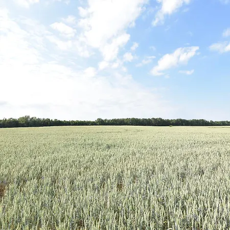 Finnsiedlung 1 Tatil Evi Marlow